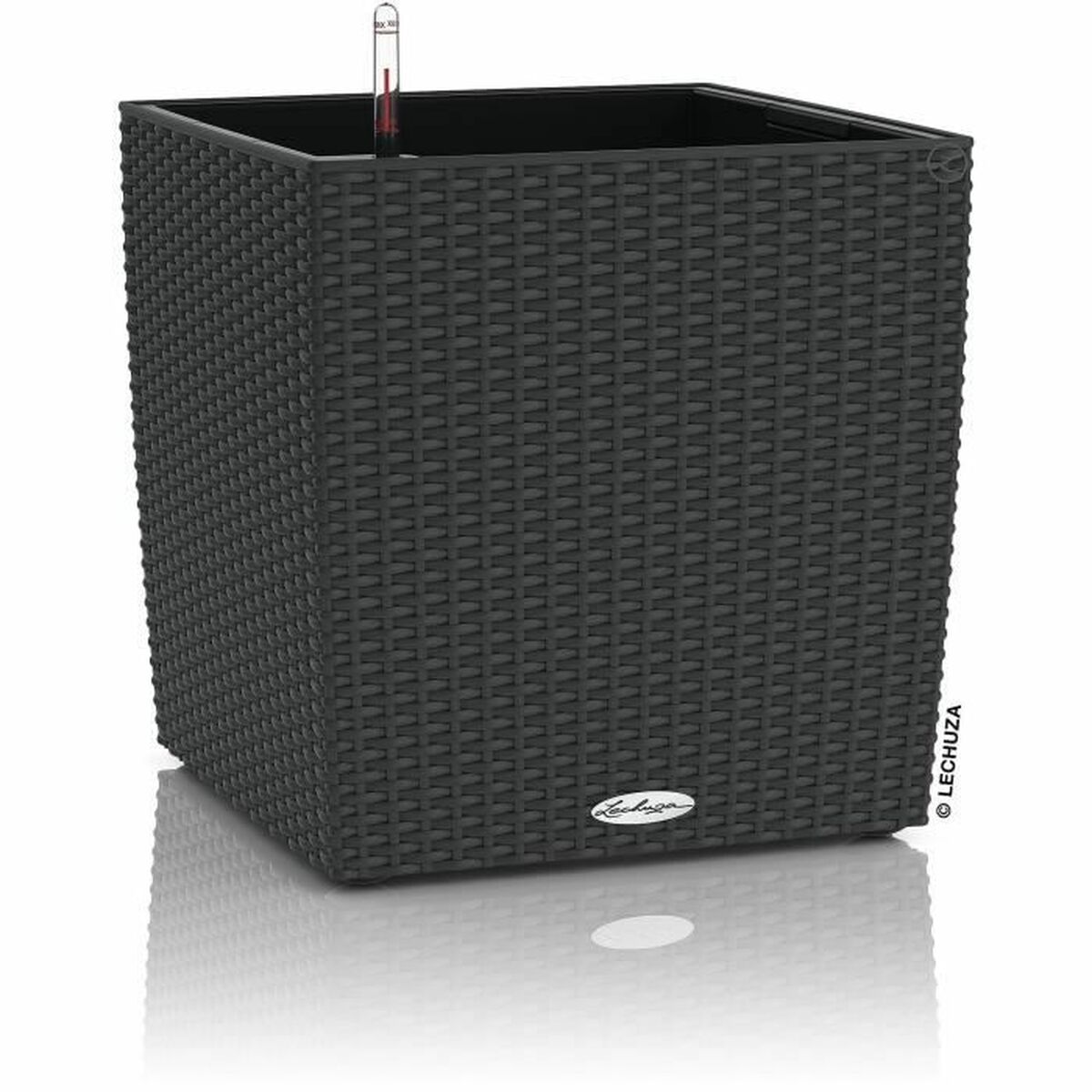 Stiklainis Lechuza 50 x 50 x 50 cm Plastmasinis